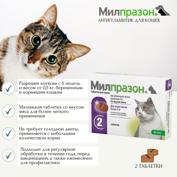 Милпразон цена для кошек