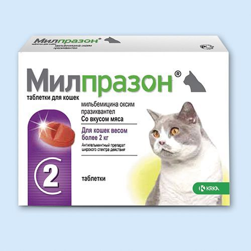 Таблетки коту от глистов
