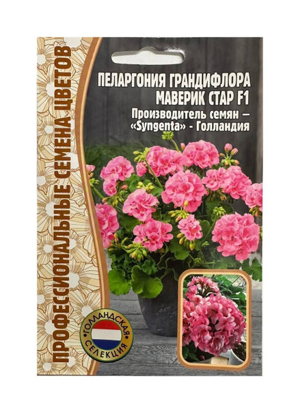 Пеларгонии (Герань) цветов для дома и сада Пеларгония грандифлора ...