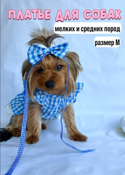 Платье для собак мелких пород/ голубое M - купить с доставкой по ...