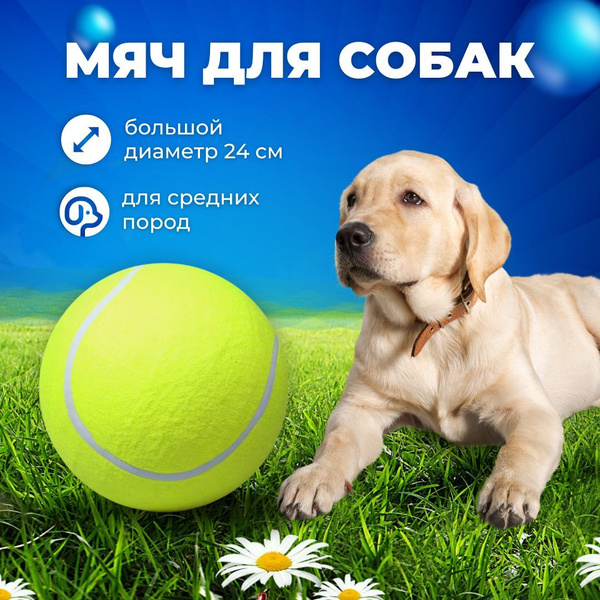Игрушка для собак теннисный большой мячик 24 см - купить с доставкой по ...