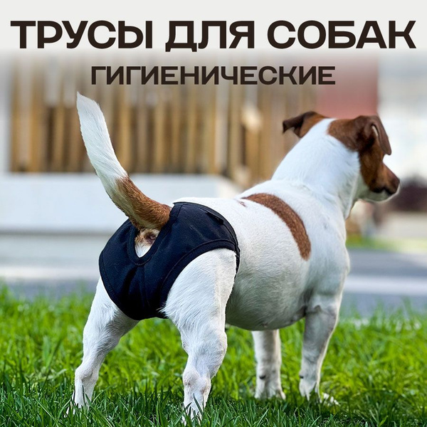 Трусы для собак многоразовые, во время течки, подгузник для собак ...