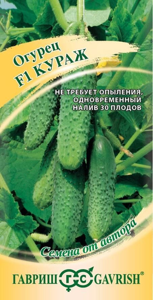 Огурцы Гавриш Кураж - купить по выгодным ценам в интернет-магазине OZON ...