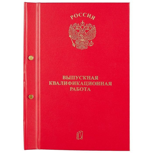 Папка для диплома A4 (21 × 29.7 см), 1 шт. купить на OZON по низкой ...