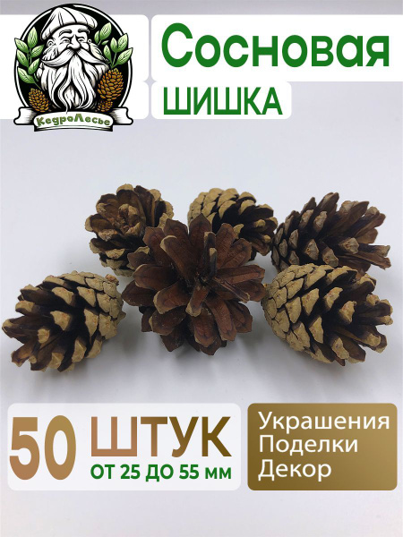 Сосновая шишка 50 штук, декор, поделки, украшения - купить с доставкой ...