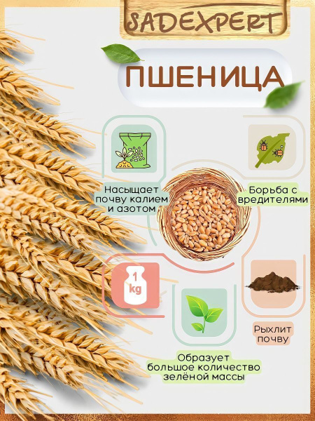 Сидераты Sadexpert Газон Гном_коричневый - купить по выгодным ценам в ...