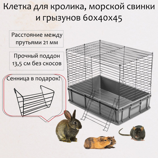 Клетка для кролика 60х40х45, грызунов, морской свинки Roklet, прочный ...