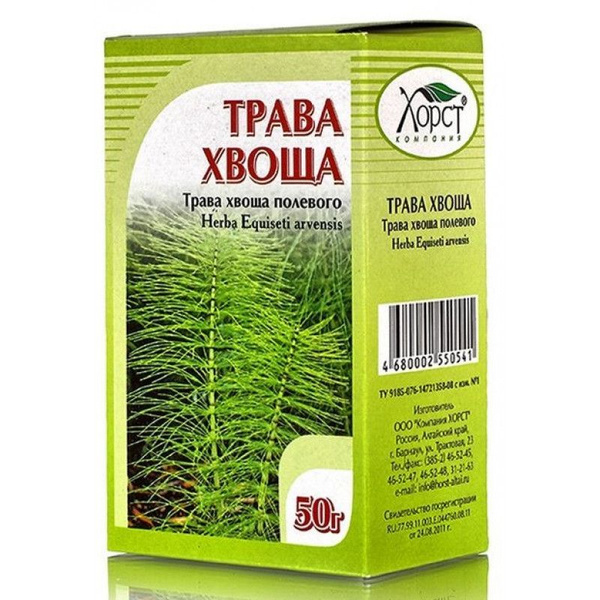 Хвощ полевой свойства растения: найдено 83 картинок