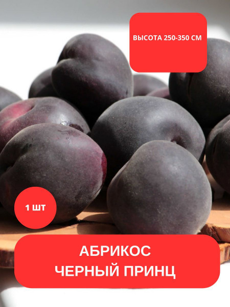 Клубни купить по выгодной цене в интернет-магазине OZON (1136064801)