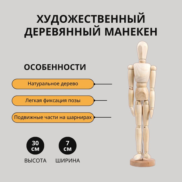 Деревянный художественный манекен 30см. Анатомическая модель - купить с ...