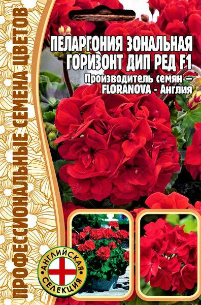 Пеларгонии (Герань) Редкие семена Пеларгония зональная Горизонт Дип Ред ...