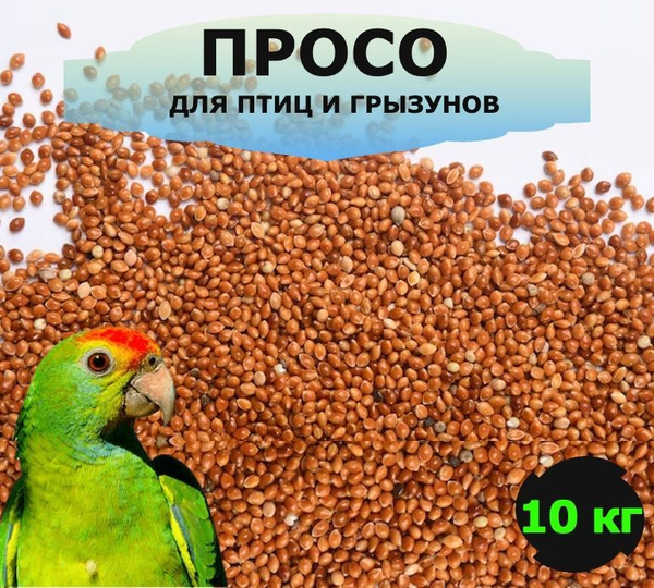 Просо, корм для птиц и волнистых попугаев, лакомство для грызунов, 10 ...