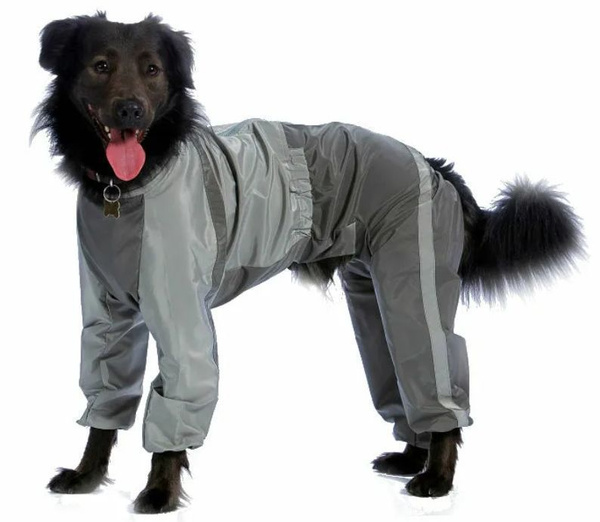 ТУЗИК Комбинезон холодный для породы ризеншнауцер кобель - купить с ...