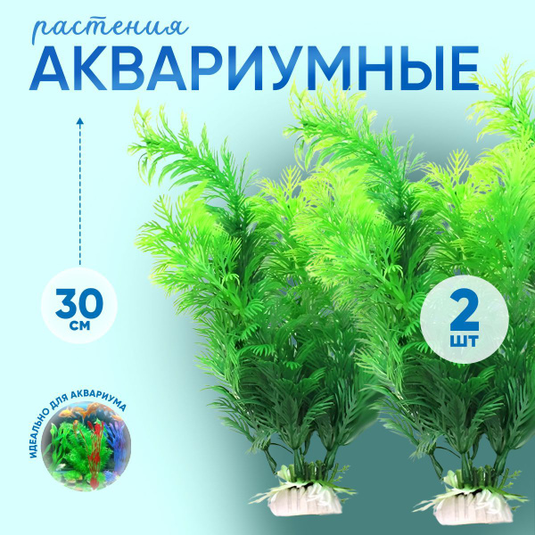 Водоросли для аквариума искуственные - купить с доставкой по выгодным ...