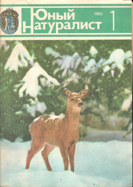 Журнал "Юный натуралист" 1971 № 04 Painting, Art, Bird