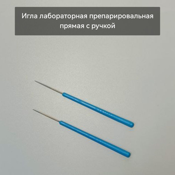 Игла лабораторная препарировальная прямая 2 штуки - купить с доставкой ...