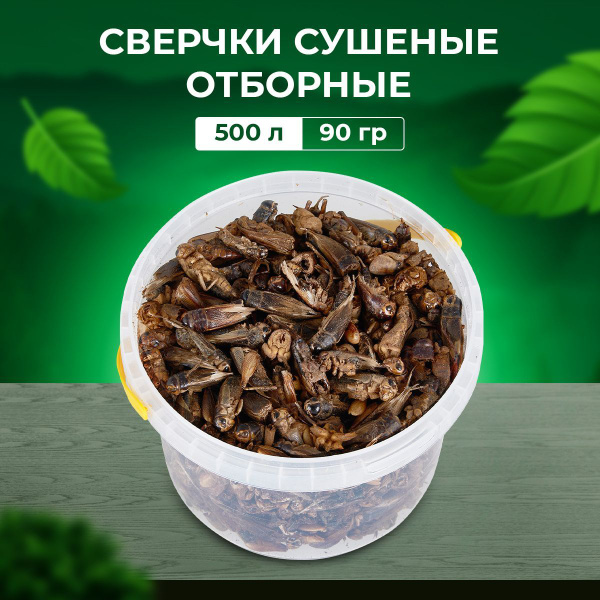 Корм для ежей, черепах и насекомоядных птиц сушеный кузнечики и саранча ...
