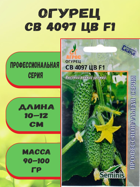 Огурцы Агрос Огурец СВ 4097 ЦВ_1 - купить по выгодным ценам в интернет ...