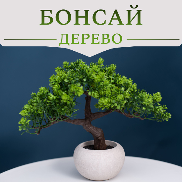 Бонсай искусственный - купить с доставкой по выгодным ценам в интернет ...