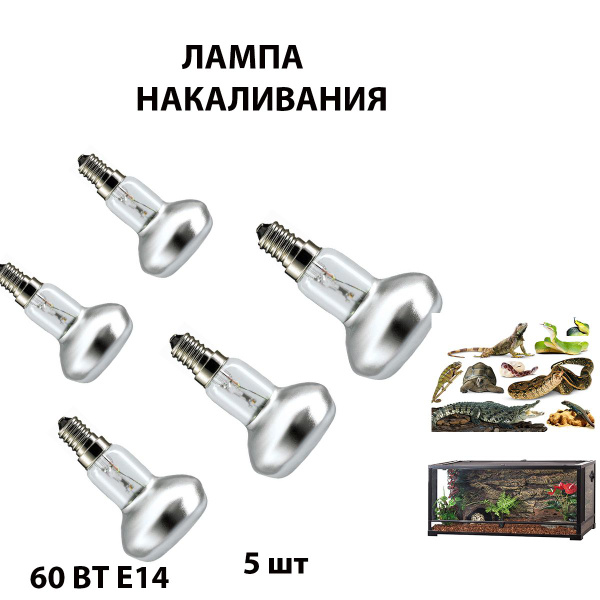 Для террариума лампа 5 шт черепах ящериц растения декор R50 230-60 E14 ...