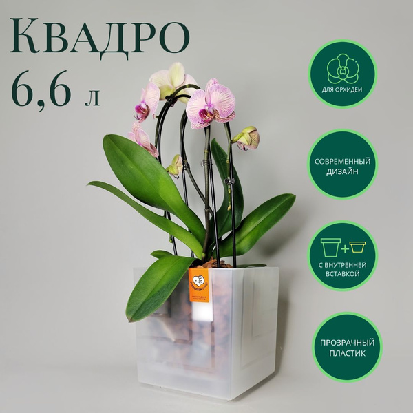 Горшок / кашпо для орхидей Квадро 6,6 л, 20 х 20 х 20 см, прозрачный ...
