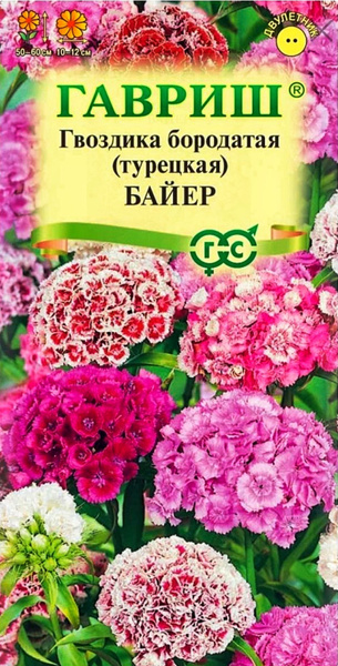 Гвоздика турецкая, Гвоздики двулетние Гавриш Гвоздика - купить по ...