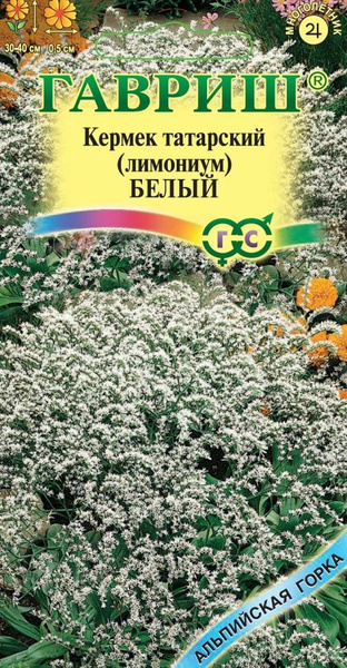 Лимониум (Кермек) Гавриш Лимониум (Кермек) - купить по выгодным ценам в ...
