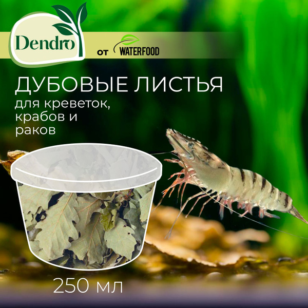 Дубовые листья DENDRO от Water Food - корм для креветок, крабов и раков ...