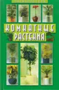 Комнатные растения. Энциклопедия - Рокош Елена Владимировна