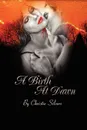 A Birth at Dawn - Christie Silvers