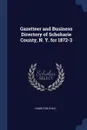 Gazetteer and Business Directory of Schoharie County, N. Y. for 1872-3 - Hamilton Child