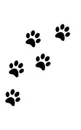 dog  paw print Writing Drawing Journal - Sir Michael Huhn