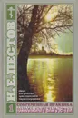 Современная практика православного благочестия. В 2-х томах. Том 1 - Пестов Николай Евграфович