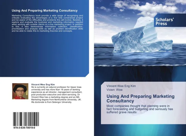 Обложка книги Using And Preparing Marketing Consultancy, Vincent Wee Eng Kim and Vivien Wee