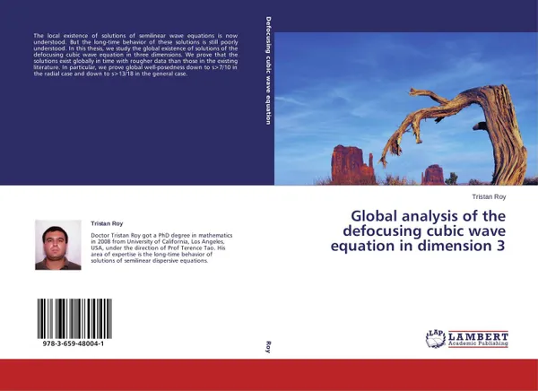 Обложка книги Global analysis of the defocusing cubic wave equation in dimension 3, Tristan Roy