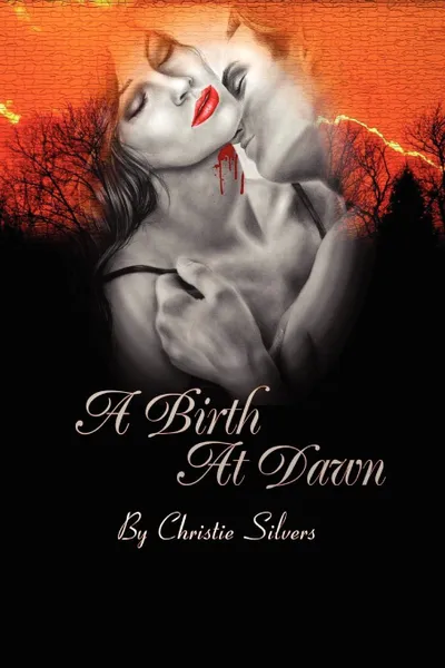 Обложка книги A Birth at Dawn, Christie Silvers