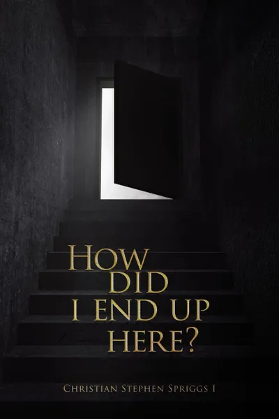 Обложка книги How did I end up here?, Christian Stephen Spriggs