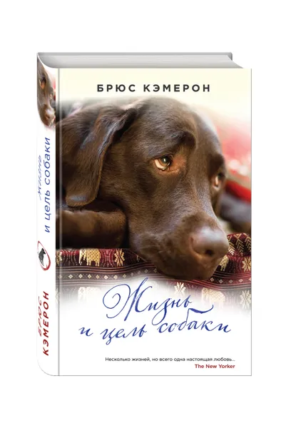 Обложка книги Жизнь и цель собаки, Кэмерон Брюс