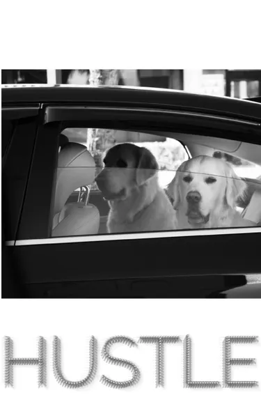 Обложка книги Doggy Style Hustle Journal, Sir Michael Huhn