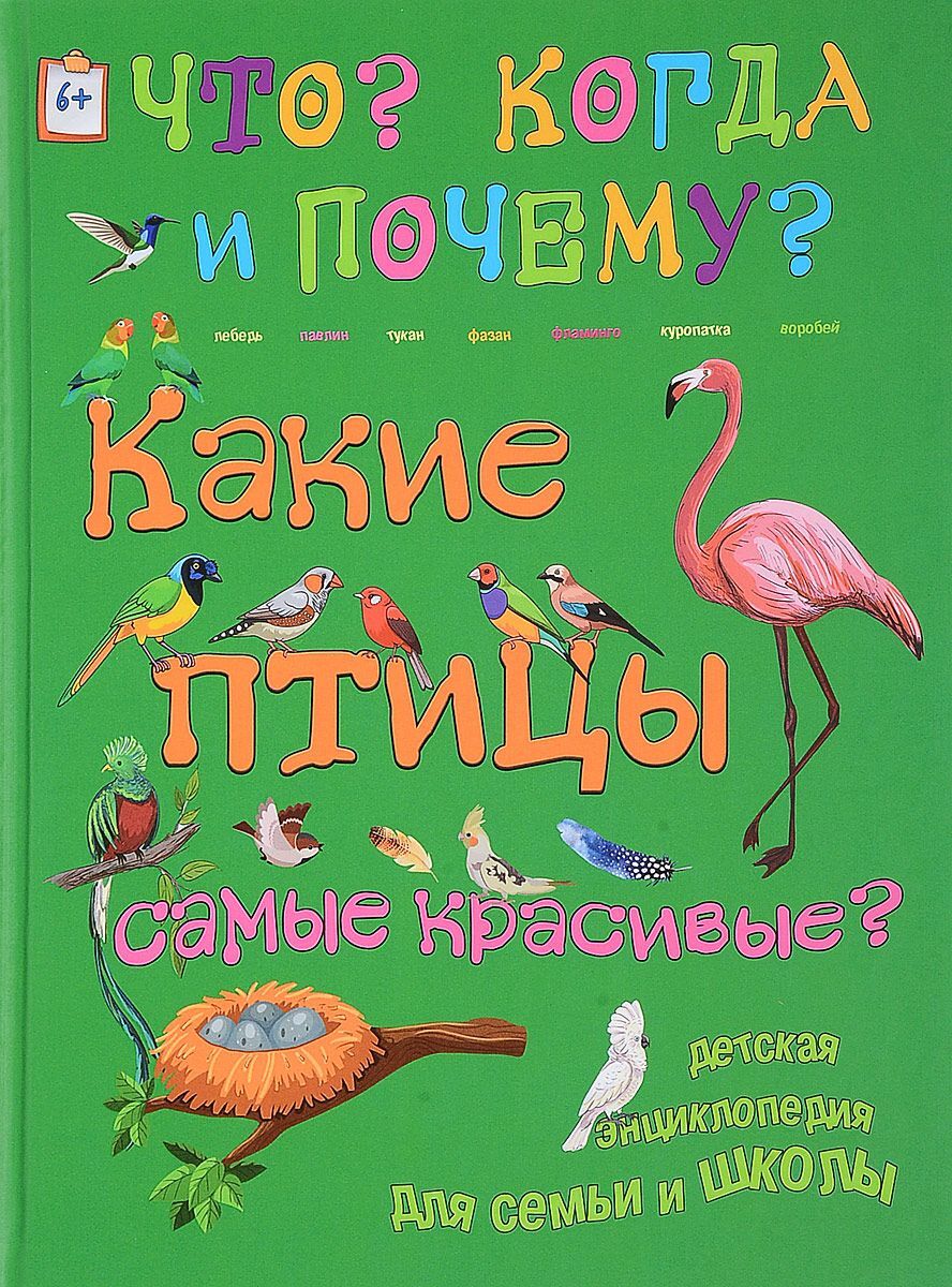 Почему обложка. Самые красивые птицы книга. Обложка книги какие птицы самые красивые. Энциклопедия самые красивые птицы Автор. Владимиров какие птицы самые красивые.