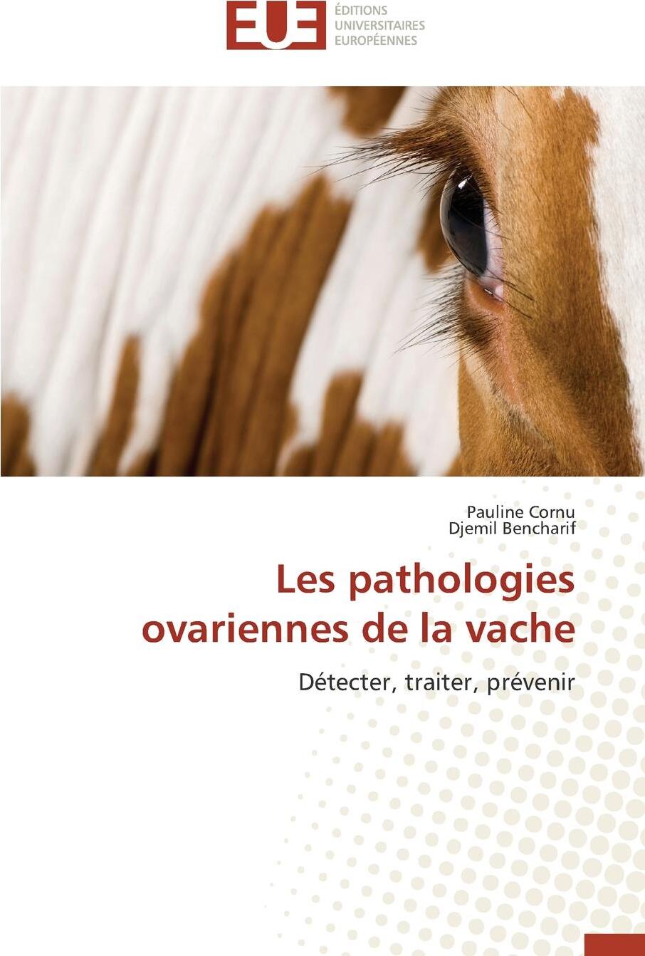 фото Les pathologies ovariennes de la vache