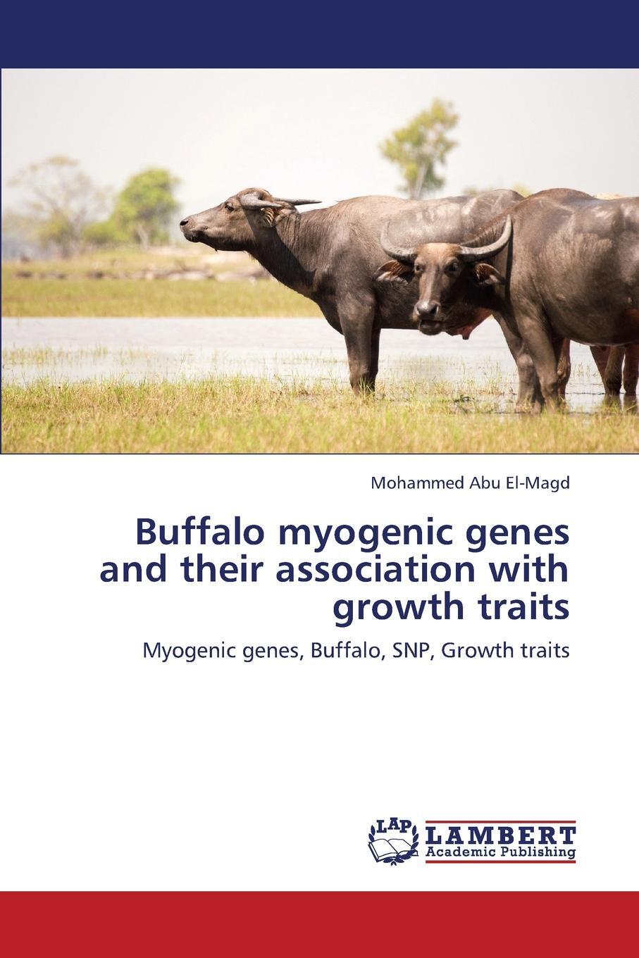 фото Buffalo Myogenic Genes and Their Association with Growth Traits