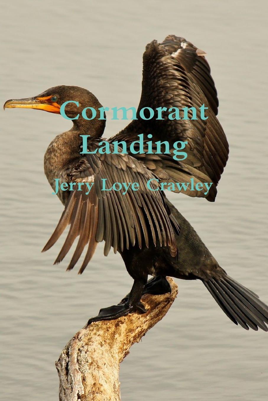 фото Cormorant Landing