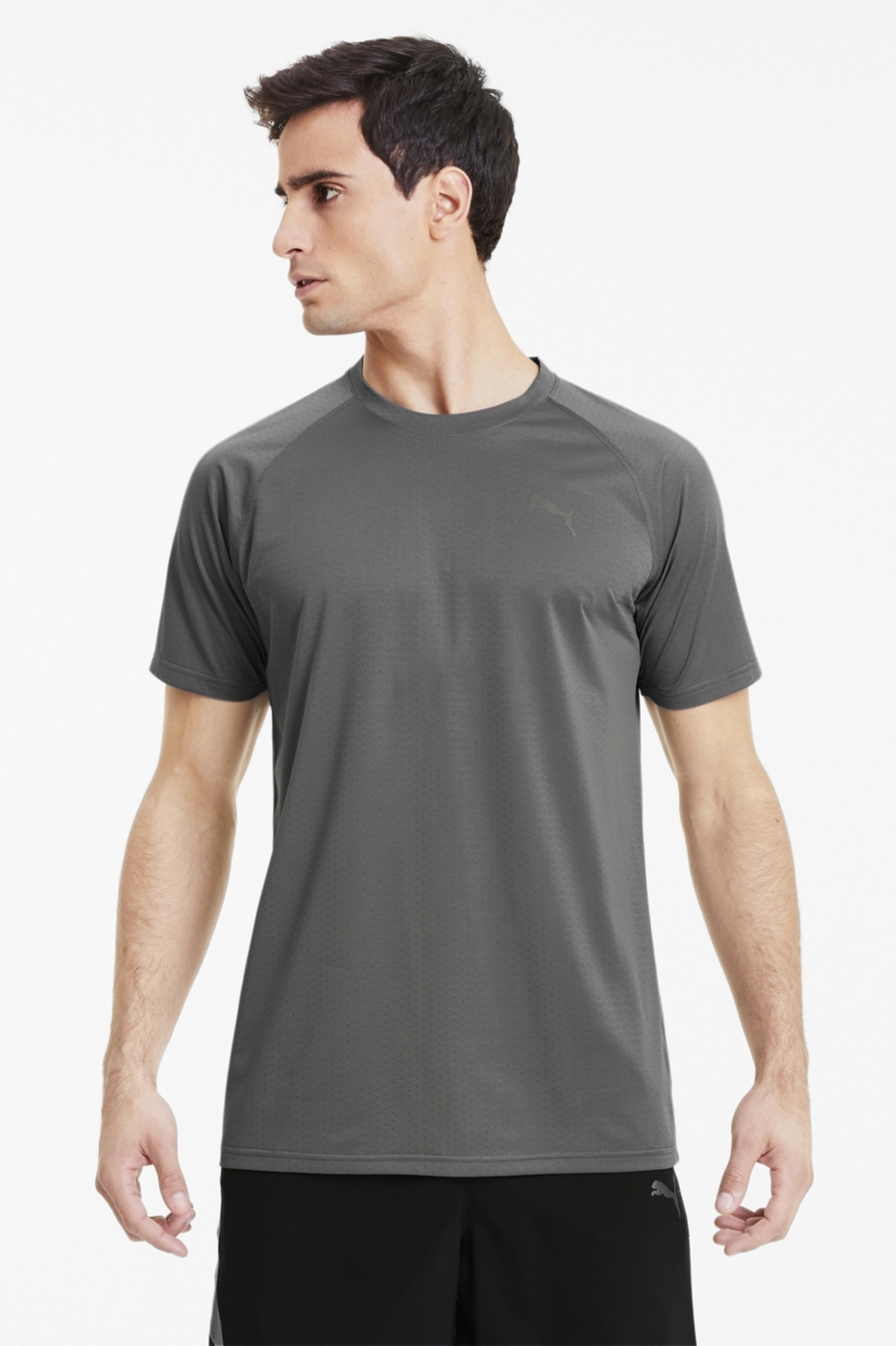 puma ss tech tee