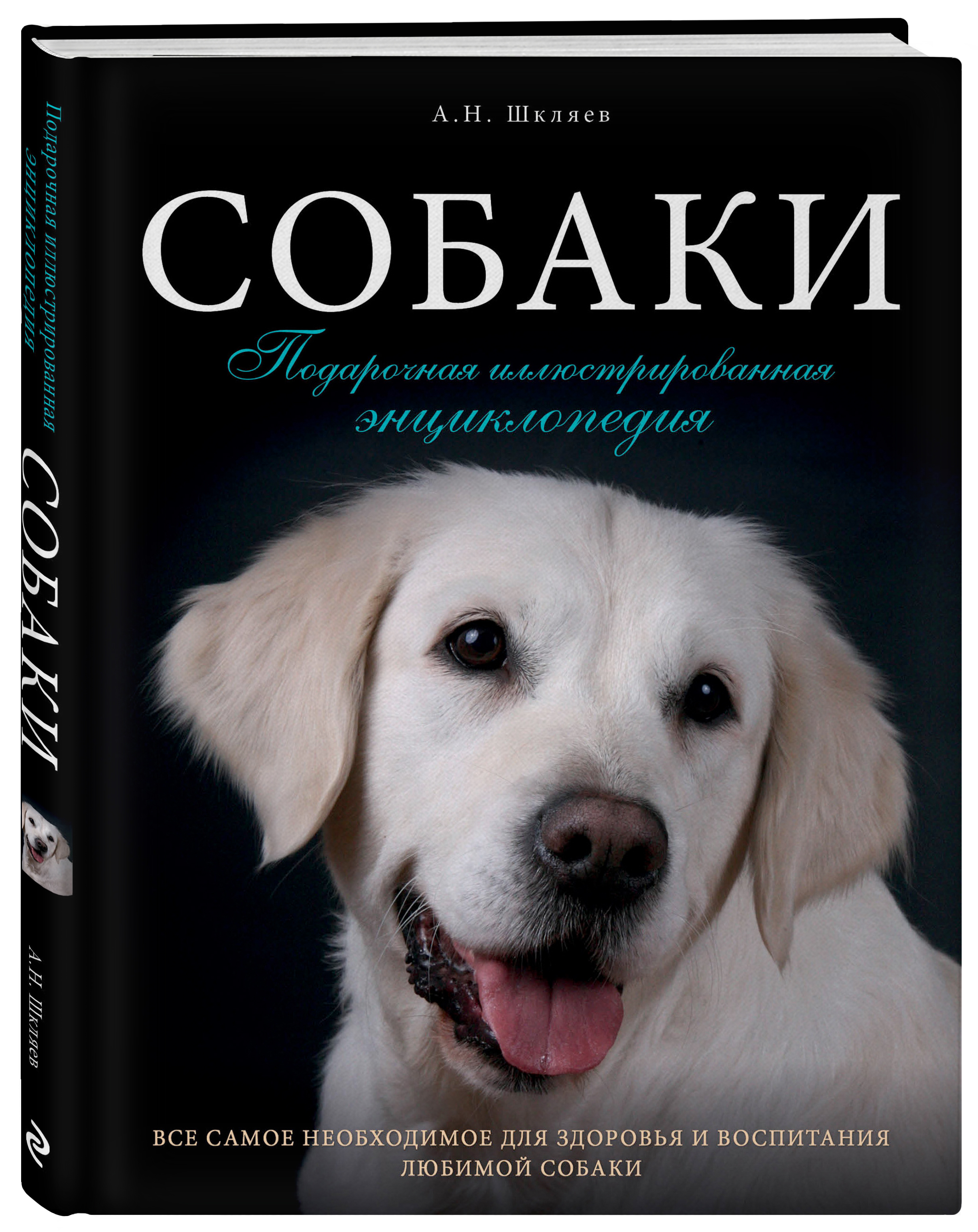 Обложки пес. Собаки подарочная иллюстрированная энциклопедия. Собаки подарочная иллюстрированная энциклопедия Шкляев. Книжка большая иллюстрированная энциклопедия собаки Шкляев. Книги про собак.