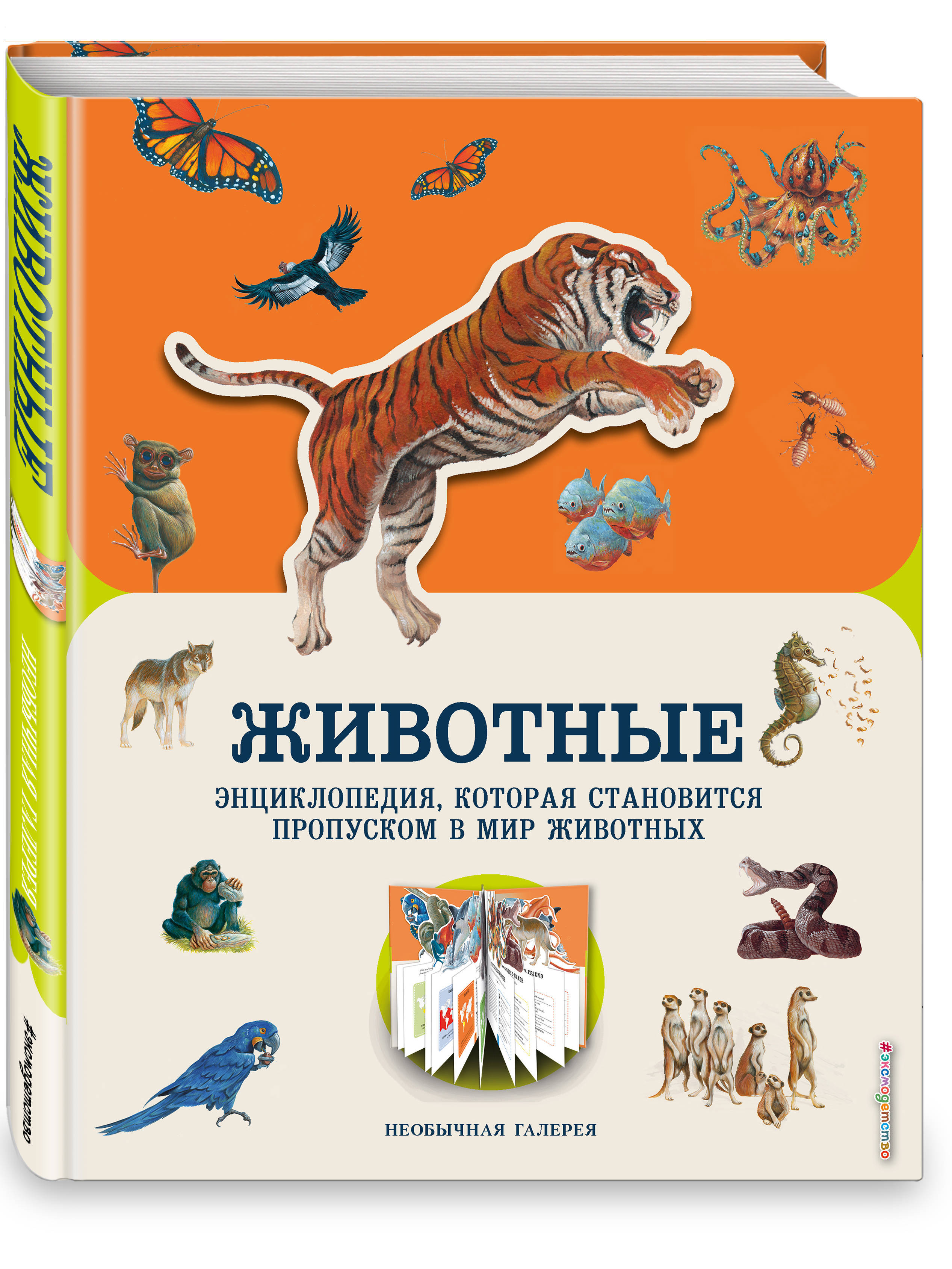 Мир животных отзывы. Книга животные. Животные. Энциклопедия. Книга мир животных. Книга в мире животных для детей.