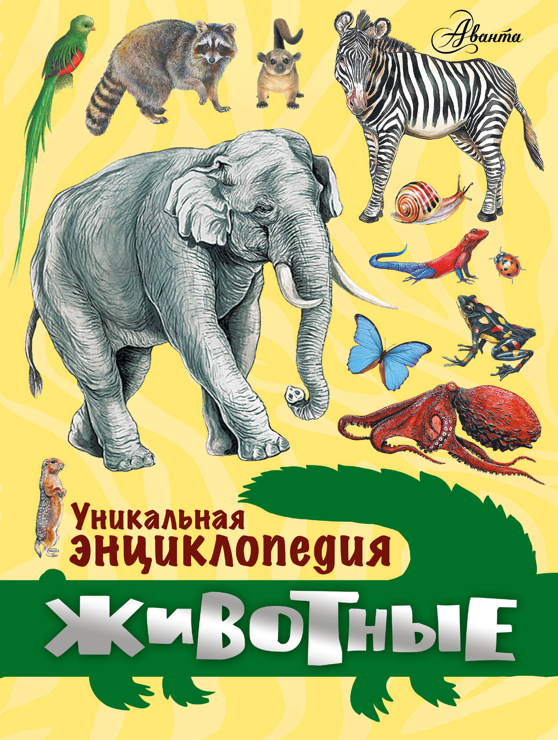 Интересные энциклопедии. Книги о животных. Энциклопедия животных. Книга животные. Книги о животных для детей.