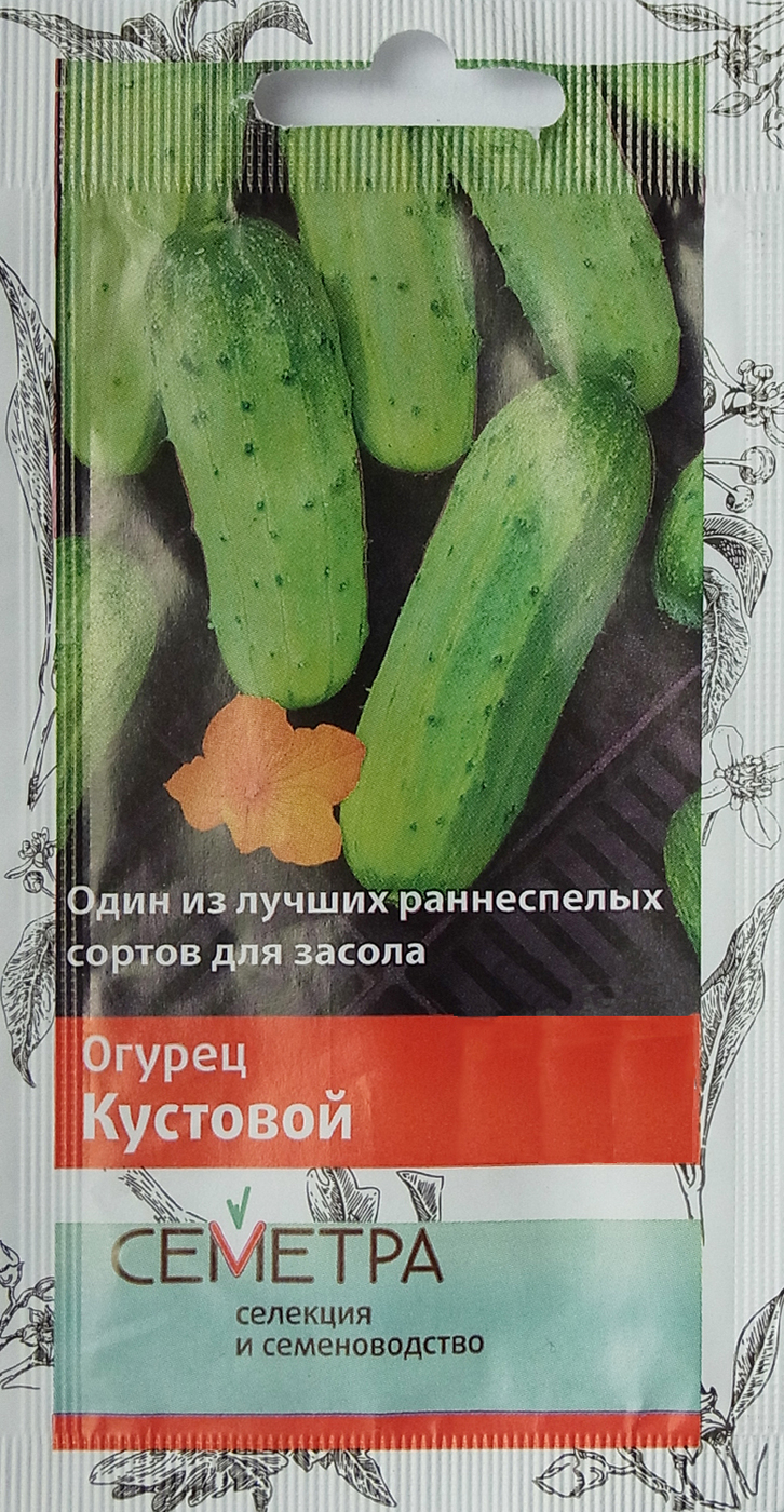 Хорошие кустовые огурцы