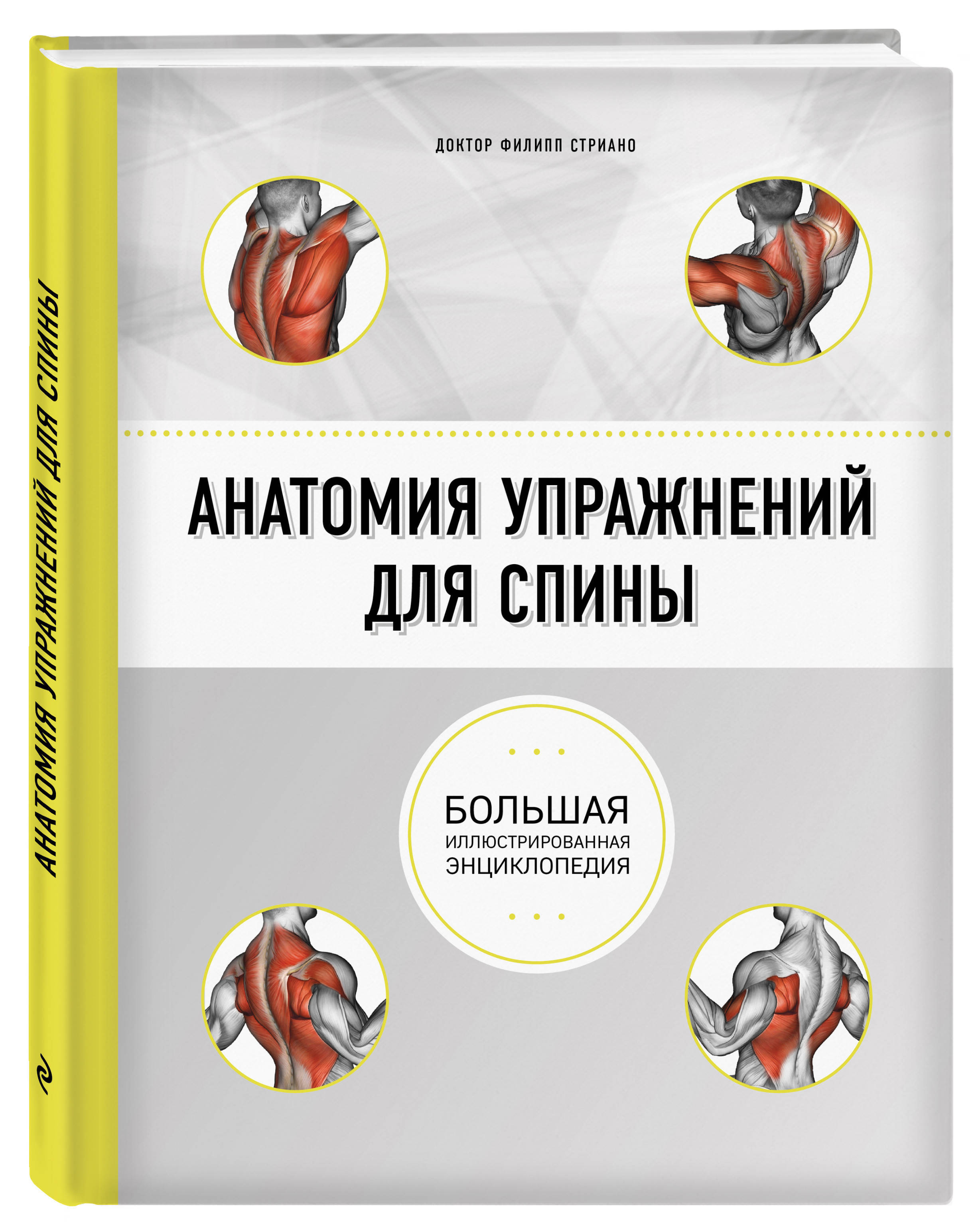 Анатомия упражнений. Анатомия Стриано Филипп. Анатомия упражнений для спины Филипп Стриано. Спортивная анатомия Торстен Герке. Анатомия упражнений для спины (2-е изд.).