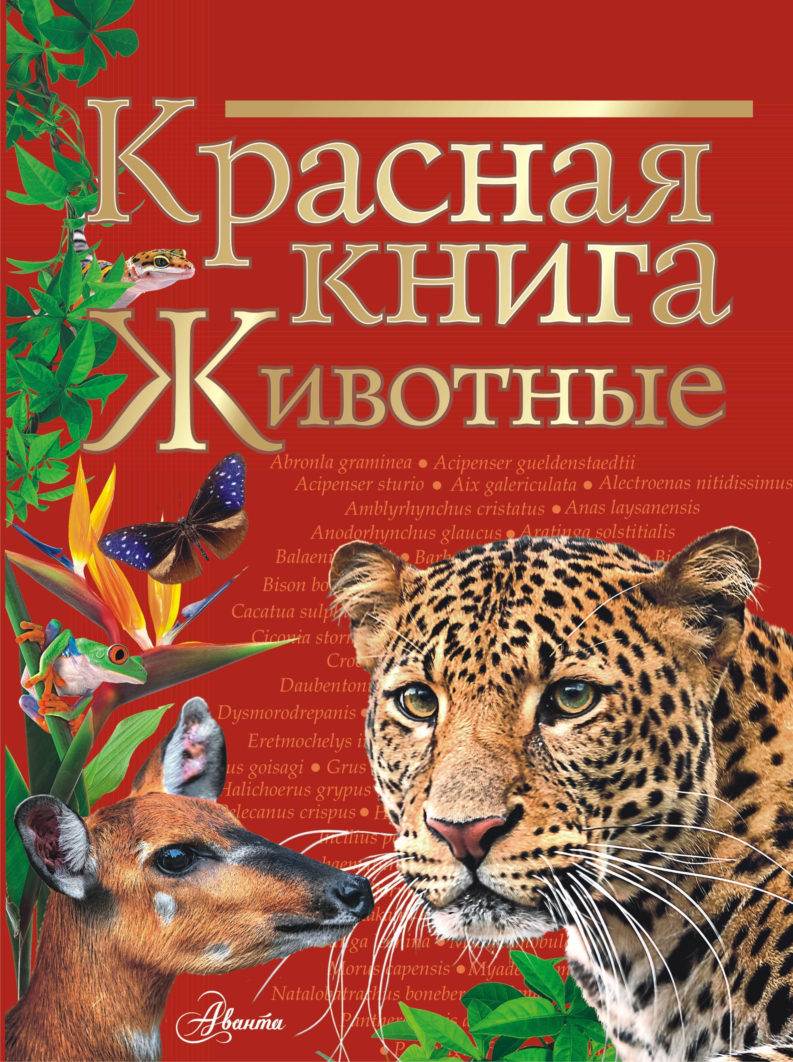 Красная Книга Купить Читай Город